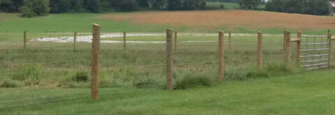 Agricultural Fencing